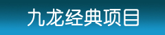 九龙经典项目